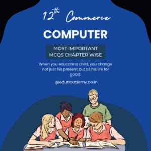 MCQ of Computer (12th Commerce)